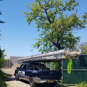 Meet your Posher, Clemente